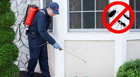 Dodurga Kemirgen İlaçlama böcek ilaçlama ve haşere kontrolü — ilaclama-tr.com